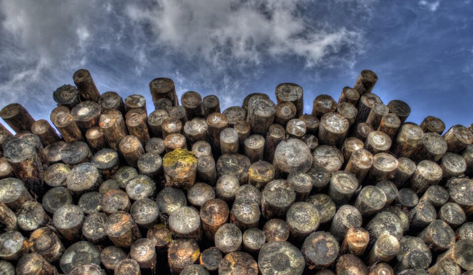 logs, wood, lumber, logging, bole, firewood, pieces of timber, woodpile, wooden, timber, forestry, deforestation, material, logs, lumber, lumber, logging, logging, firewood, timber, timber, deforestation, deforestation, deforestation, deforestation, deforestation