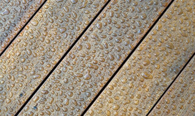 wood, floor, hardwood, wooden, texture, carpentry, material, pattern, drops