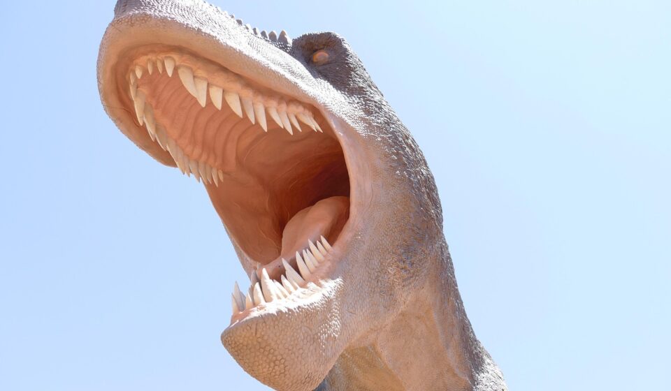 trex, dinosaur, tyrannosaurus, rex, sculpture, park, fossil, dino, animal, tyrannosaur, prehistoric, monster, artistic, paleontology, paleontologist, geology, geological, predator, creature, jurassic, prehistory, wildlife, extinct, teeth, ancient, nature, evolution, era, utah, moab, trex, trex, trex, trex, trex, paleontologist, moab