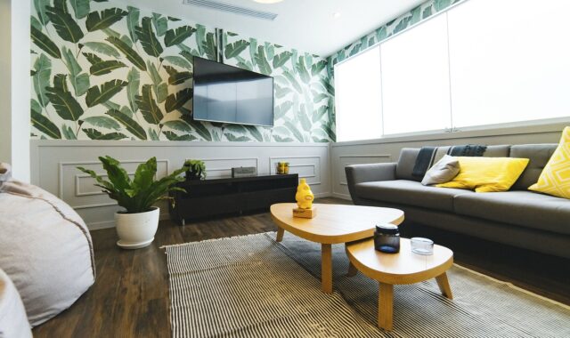 living room, house, nature, interior, design, couch, pillow, table, wall, tv, flower, flower wallpaper, beautiful flowers, flower background, pot