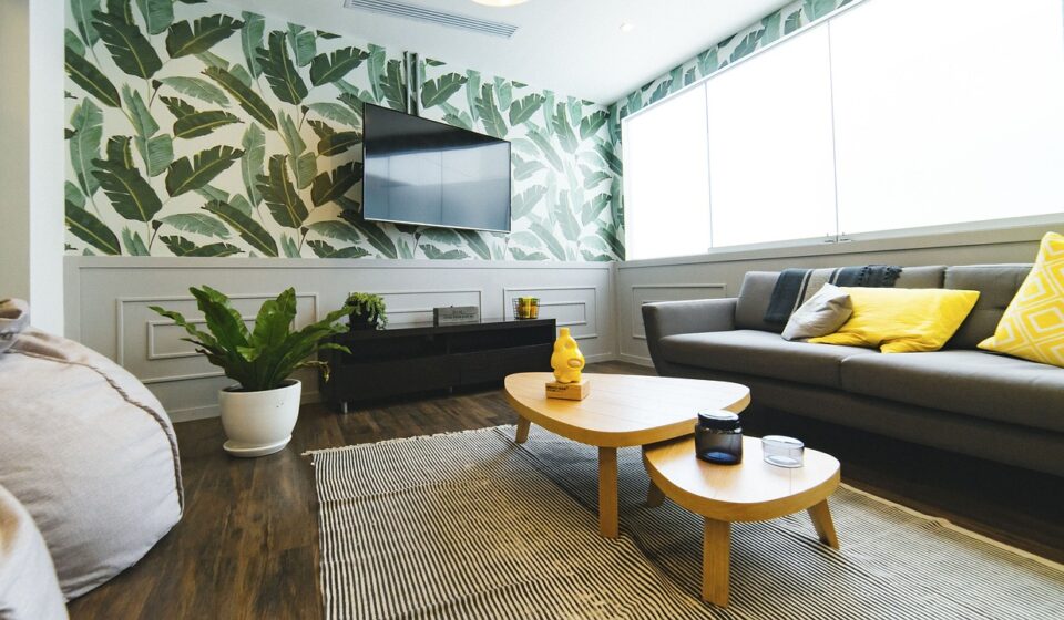 living room, house, nature, interior, design, couch, pillow, table, wall, tv, flower, flower wallpaper, beautiful flowers, flower background, pot