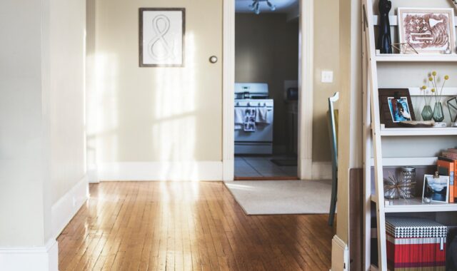 door, wall, interior, design, shelf, floor, frame, door, door, door, wall, wall, wall, wall, wall, interior, interior, floor, floor, floor, floor, frame