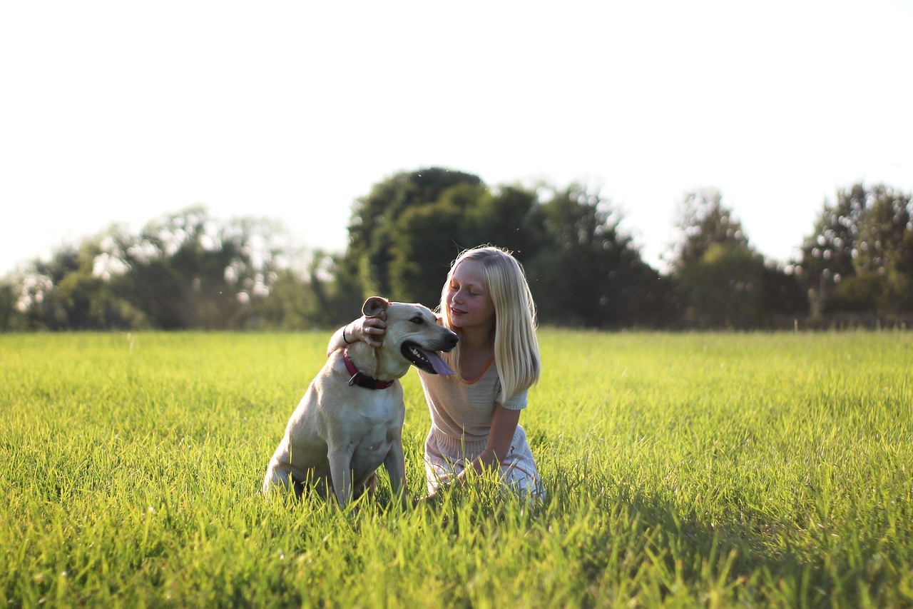 child, pet, dog, animal, nature, children, domestic animal, cute, girl, childhood, garden, happy, love, cuddle, portrait, labrador, hybrid, best, friend, pleasure