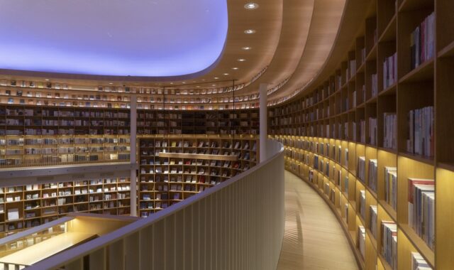 books, shelves, book store, library, education, shelf, bookshelf, study, knowledge, reading, read, library, library, library, library, library, education, education, education, bookshelf, study, study
