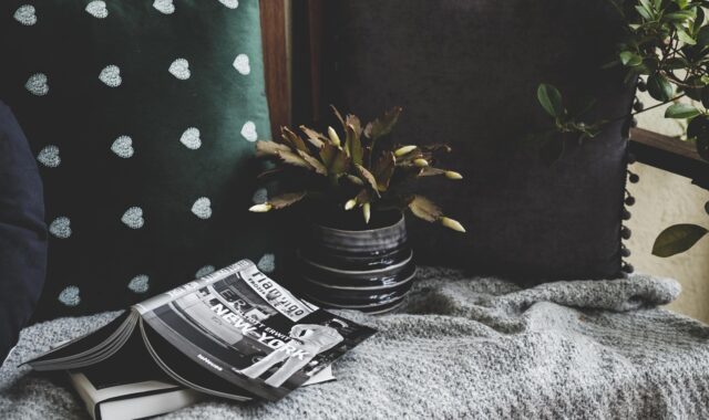 books, cozy, cushion, plant, photography books, design, home, nature, decoration, balcony, still life