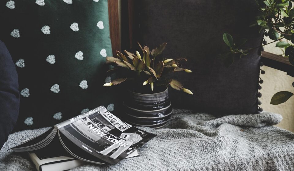 books, cozy, cushion, plant, photography books, design, home, nature, decoration, balcony, still life