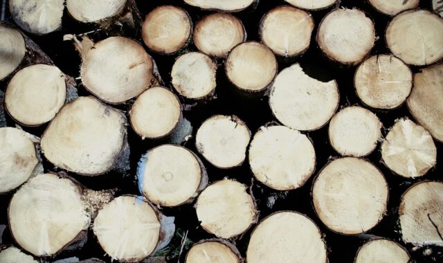 wood, round wood, cut down, tree, tree trunk, energy, raw material, sustainable, nature, electricity, warmth, heating