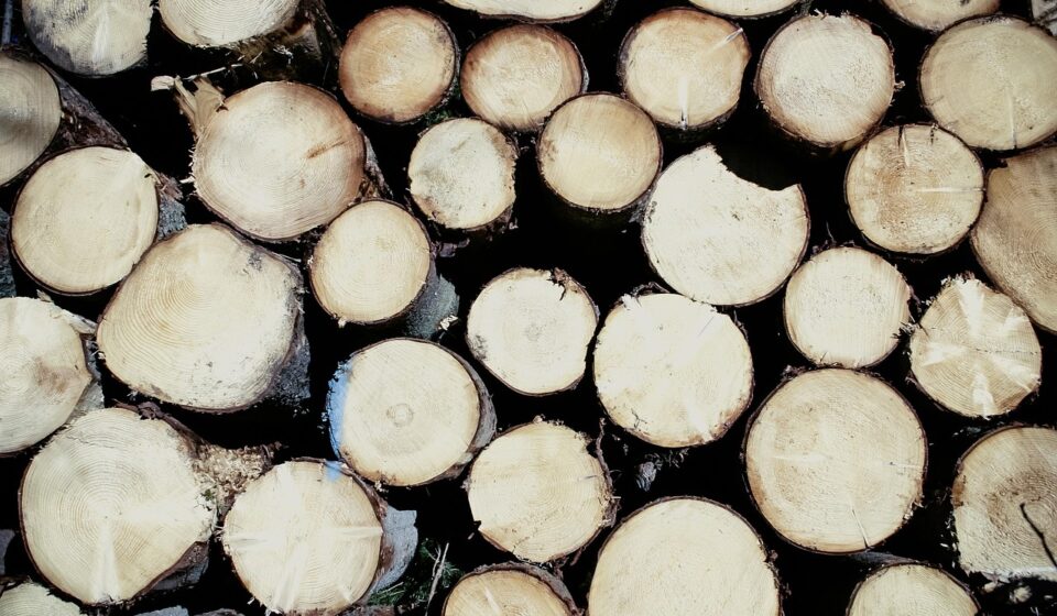 wood, round wood, cut down, tree, tree trunk, energy, raw material, sustainable, nature, electricity, warmth, heating