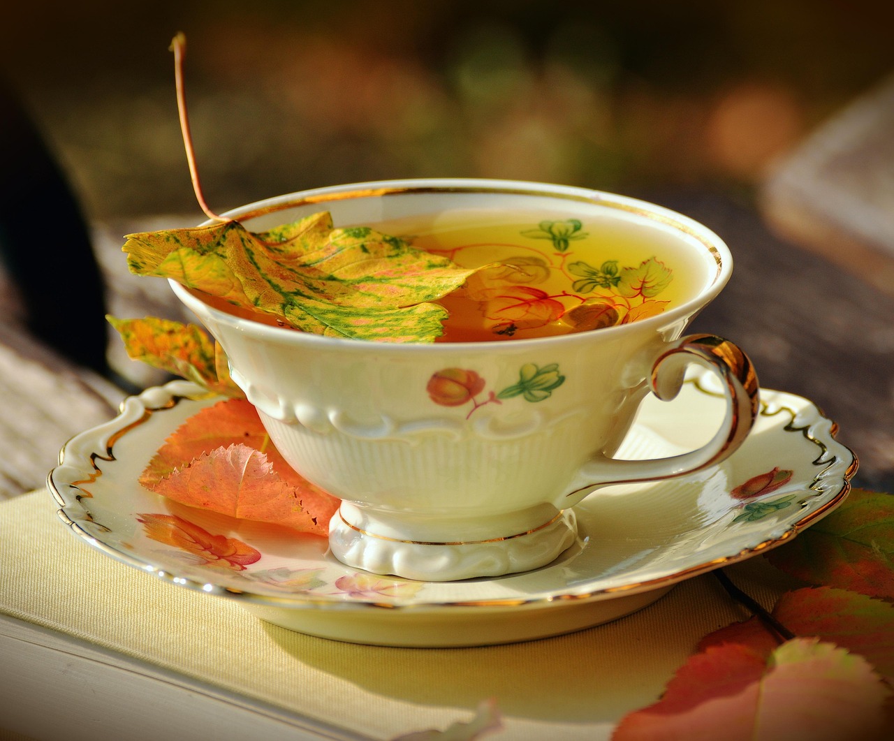 tea, nature, teacup, fall, autumnal, autumn colors, autumn leaves, dishes, builds, garden, porcelain, a book, break, teatime