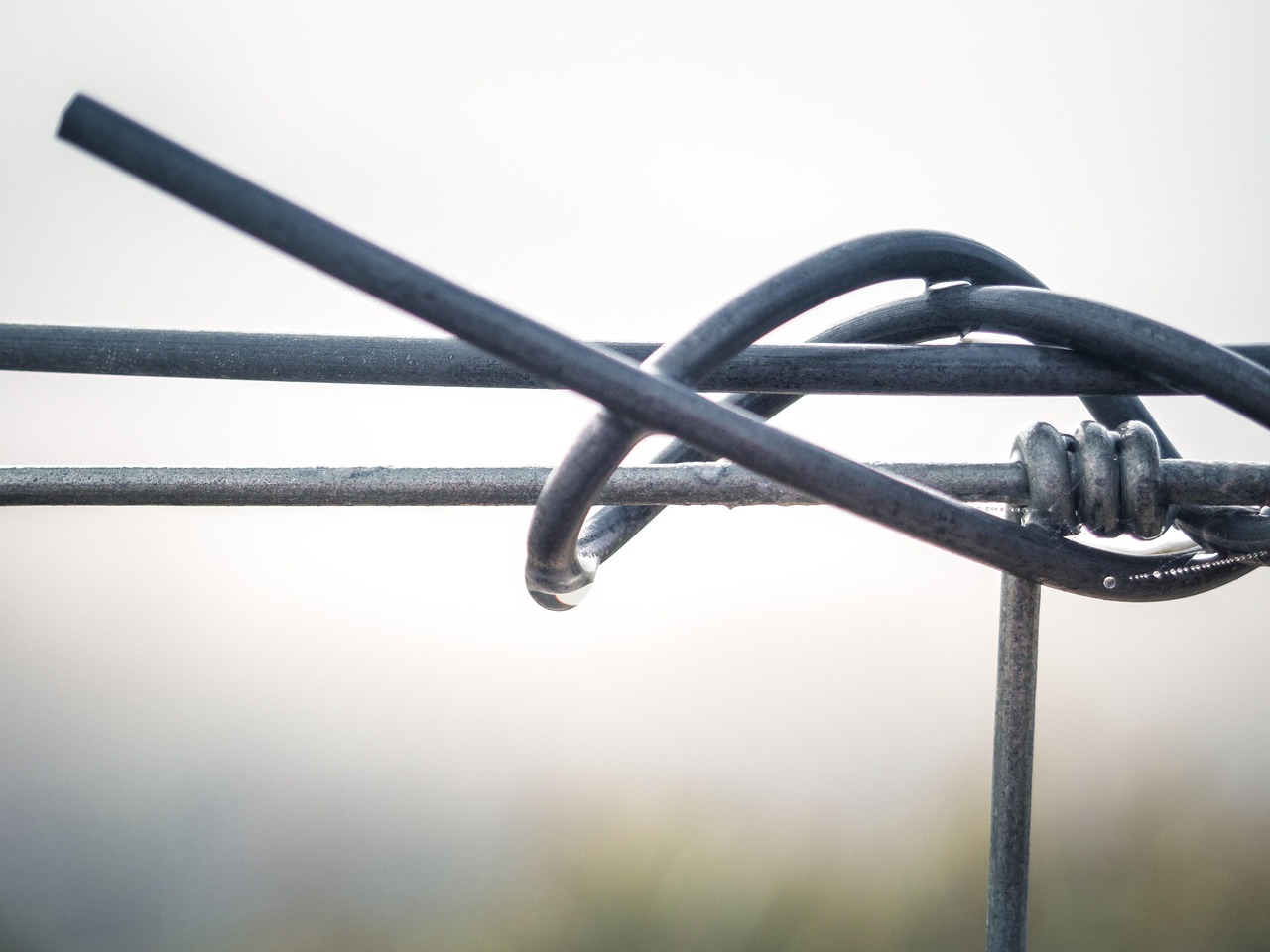wire, metal, bent, waterdrop, structure, template, metal wire, barrier, wire fence, iron, stole, steel wire, wet
