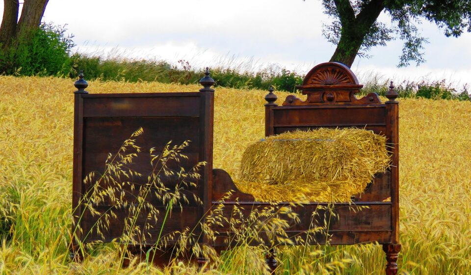 bed, cornfield, bed in the cornfield, straw, comfortable, sleep, bed, bed, bed, bed, bed, sleep, sleep