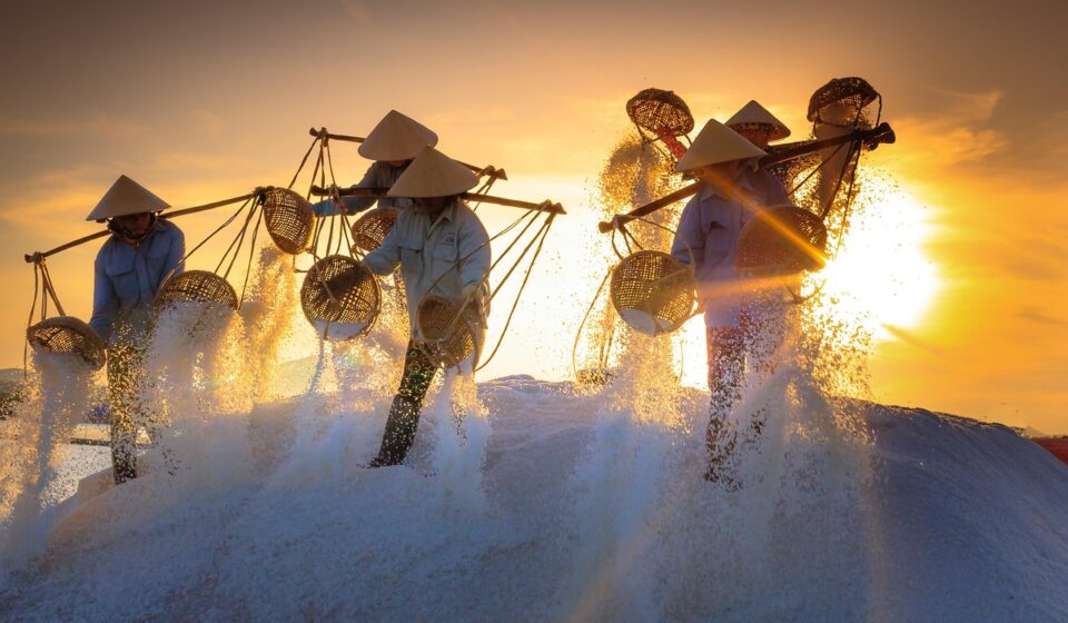 salt, field, province, vietnam, work, sunlight, workers, farm, morning, tradition, labor, harvest, evaporation, salt, salt, salt, salt, salt, vietnam, vietnam, work