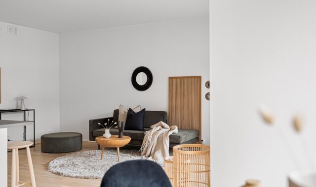 interior, design, furnitures, real estate, modern, luxury, sofa, chair, architecture, living room, table, decor, apartment, interior design
