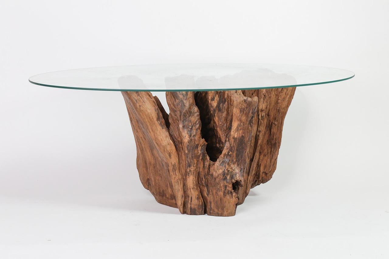 root, driftwood, wooden, nature, tree, wood, water, beach, shore, coast, old, trunk, natural, coastal, table, end table, interior, glass, oval, hardwood, eating, end table, end table, end table, end table, end table