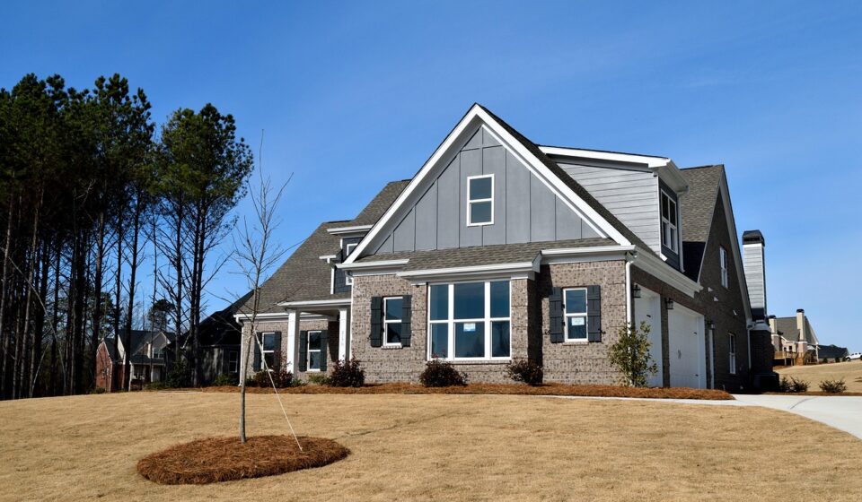 house, architecture, family, home, roof, building, wood, exterior, facade, brick, nature, suburb, outdoors, garage, lawn, real estate, property, mortgage, construction, for sale, new home, residential, landscape, estate, new, luxury, design, modern, style, sky, expensive, dwelling, realty, blue home, blue house, blue wood, blue construction, blue news, blue garage, blue sales, blue new