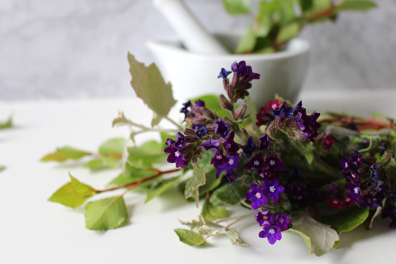 medicinal flower, remedies, ointment, cream, spa, wellness, maintenance, beauty, flower background, cosmetics, skin care, nature, green, bio, flower wallpaper, face, healthy, beautiful flowers, personal hygiene, face mask, relax, naturally, mask, product, fresh, flower, mortar, daisy, natural remedies